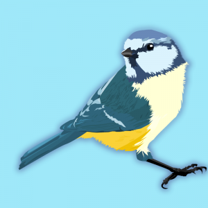 sparrow (1)